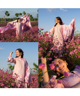 Lawn _ Embroideredmbroidered